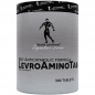  Kevin Levrone Anabolic Amino 300 